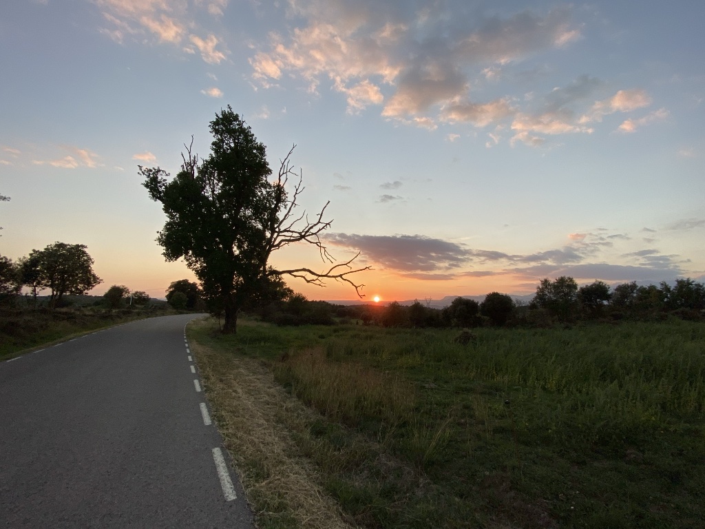 Sunset