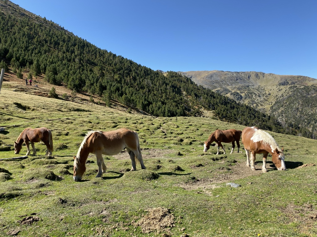 Andorra