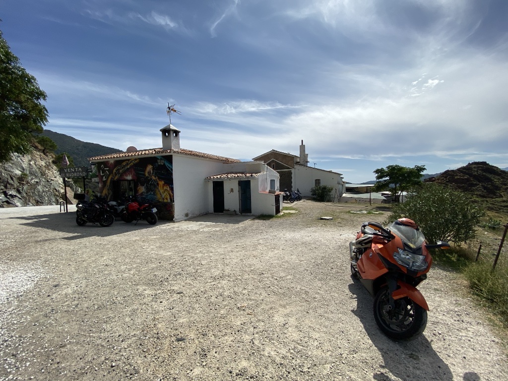 Madroño