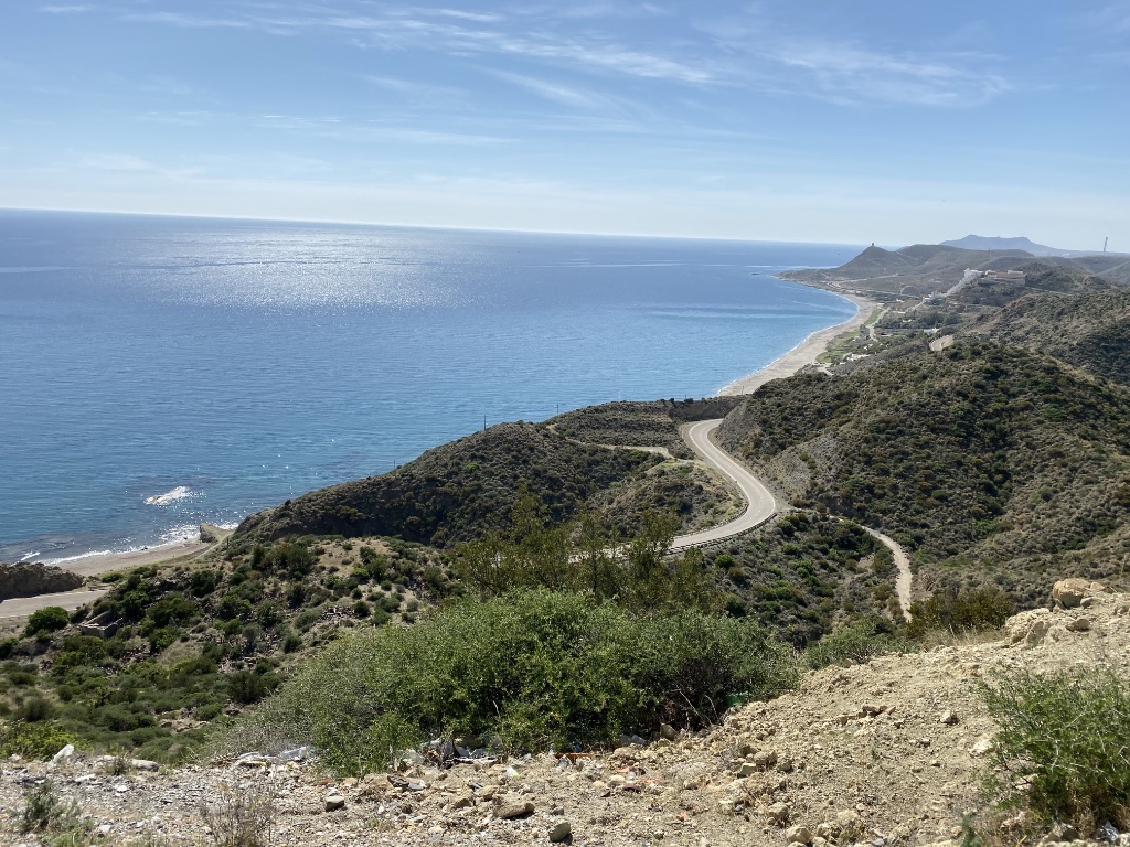 Mediterranean