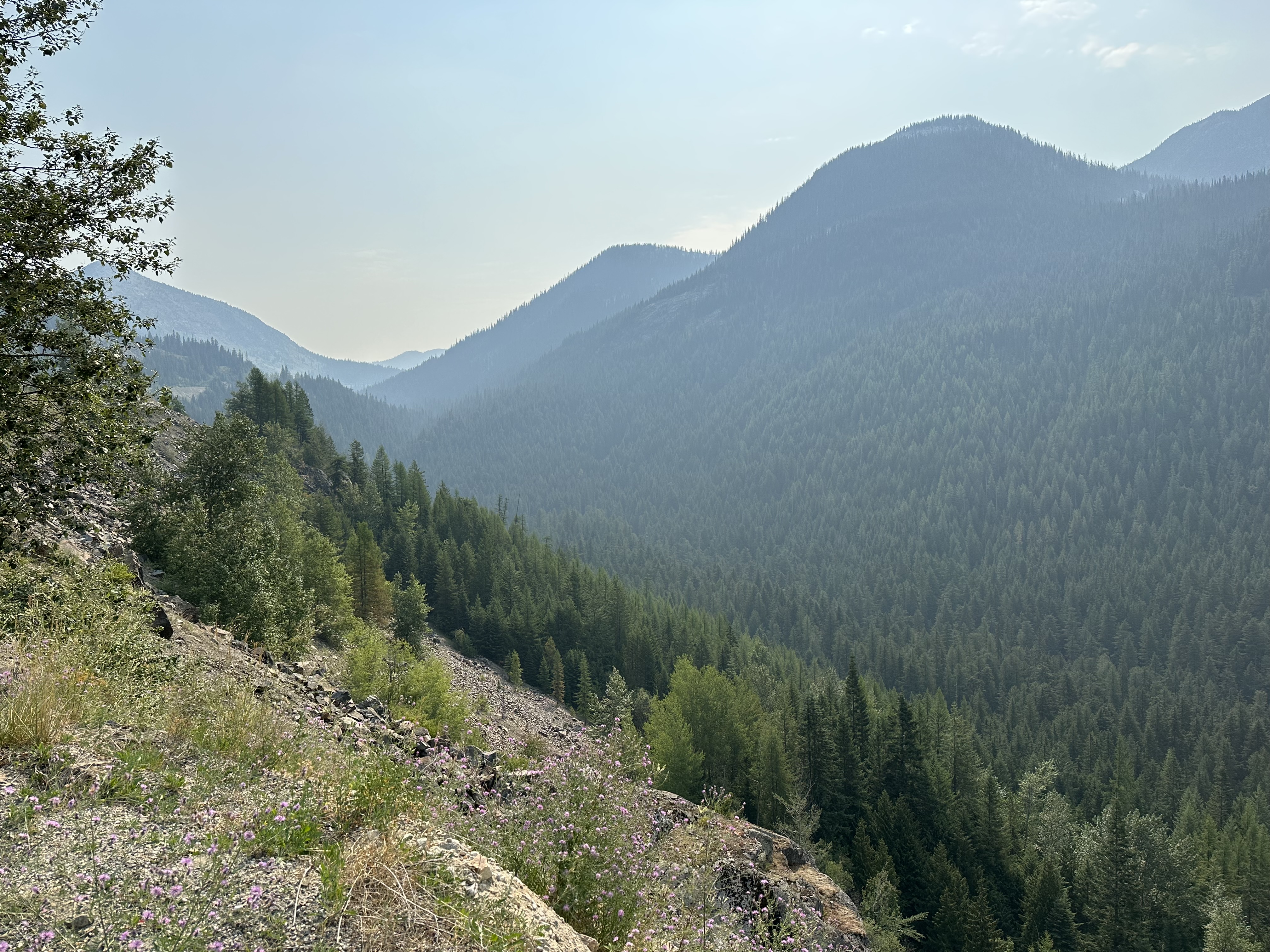 GlacierNP