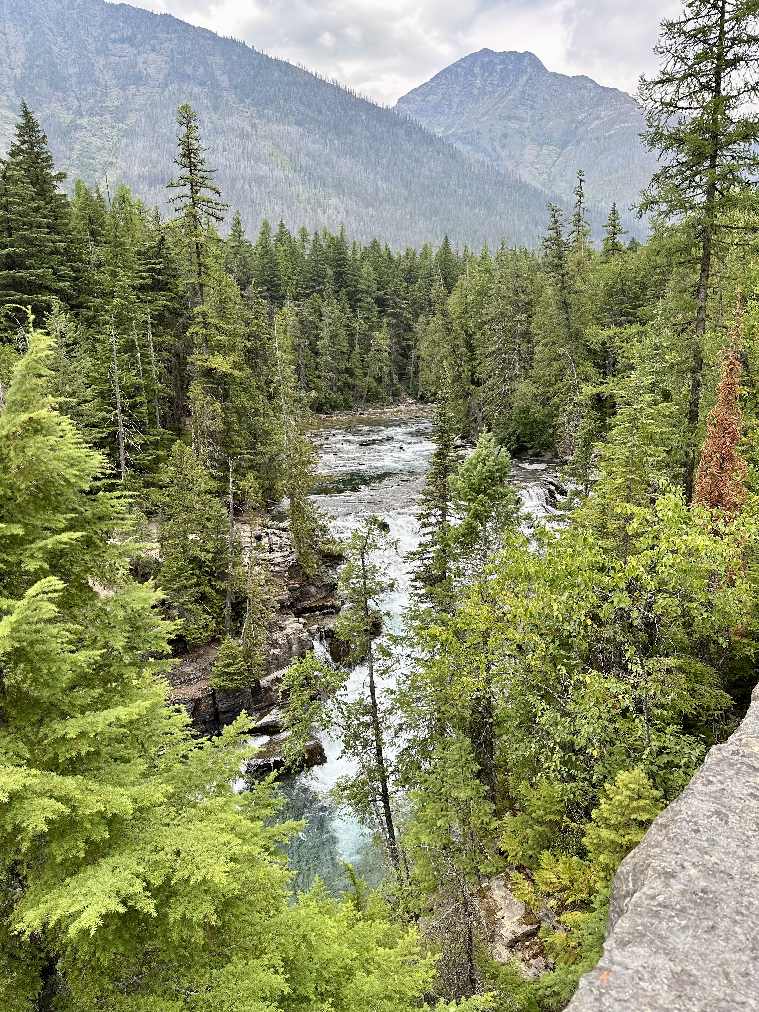 GlacierNP